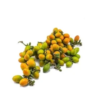 Buah Melinjo (250gr)