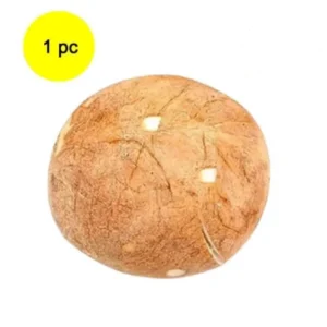 Kelapa Tua Utuh Kupas (1buah)