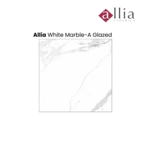 Allia Granit Tile 80x80