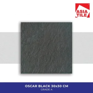 Asia Tile Lantai Keramik 30x30