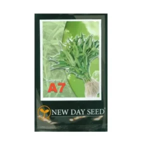 New Day Seed Benih Kangkung A7 (100gr)
