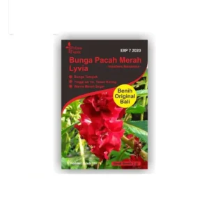 Potme Farm Benih Bunga Pacah Merah Lyvia