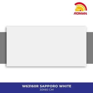 Roman Ceramics 30x60cm