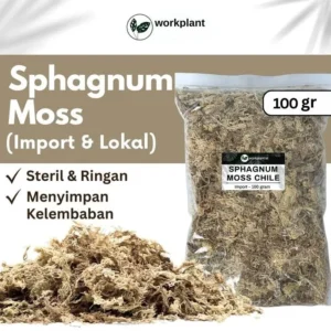 Workplant Sphagnum Moss (100gr)